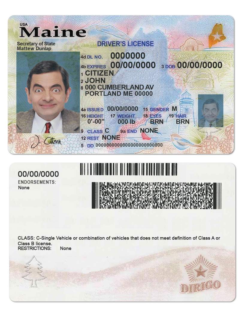 download USA Maine state driving license  (2019 – present)